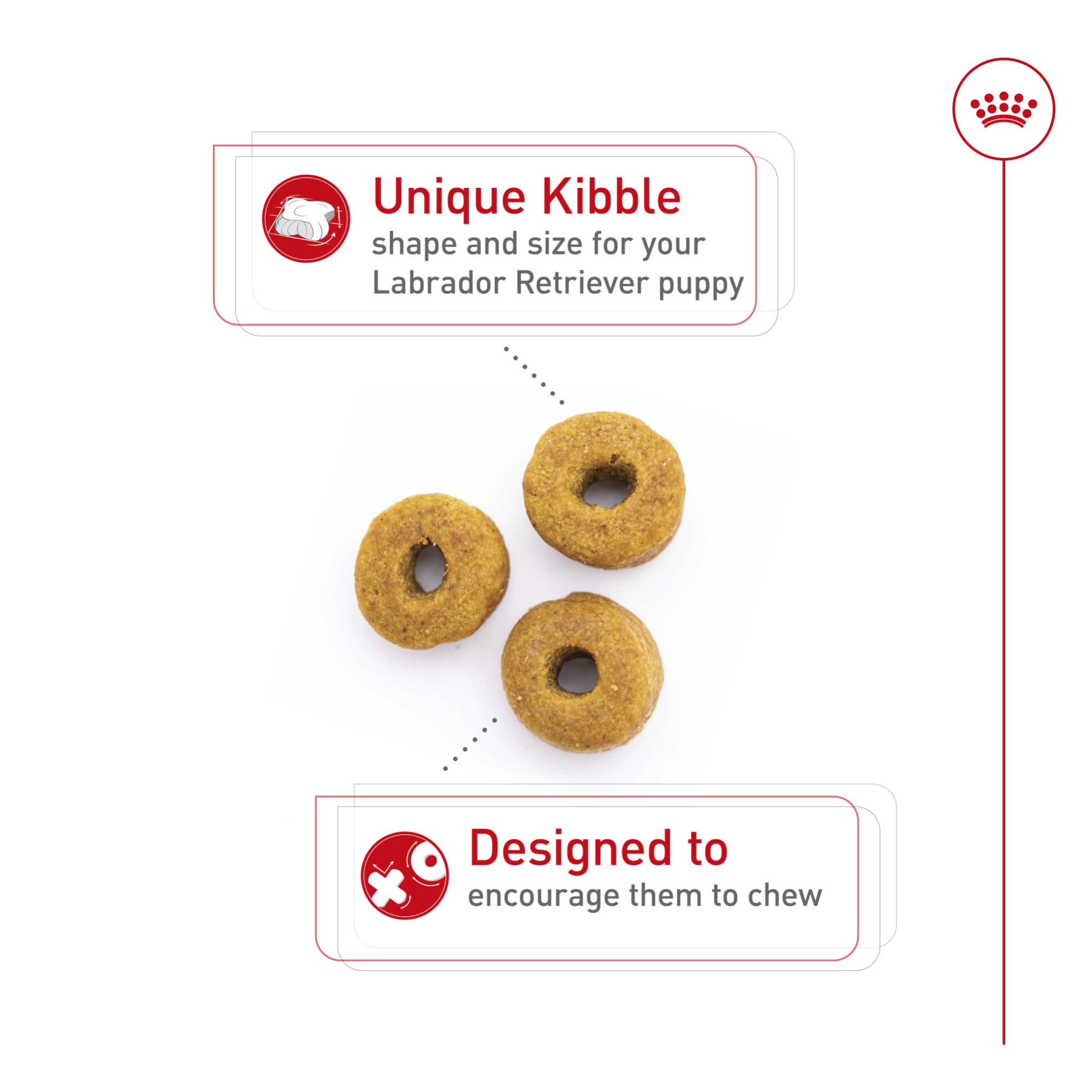 Royal Canin Labrador Puppy: croqueta en forma de dona con antioxidantes para inmunidad.