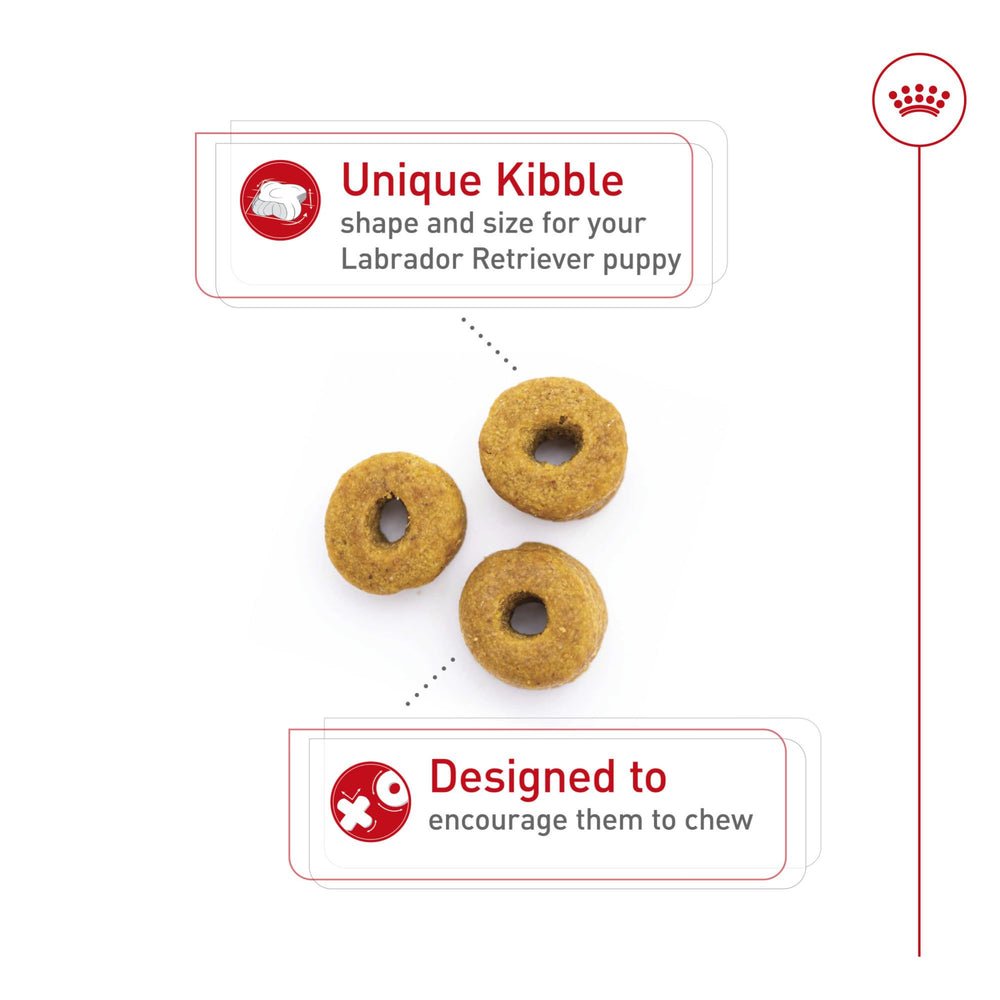 Royal Canin Labrador Puppy: croqueta en forma de dona con antioxidantes para inmunidad.