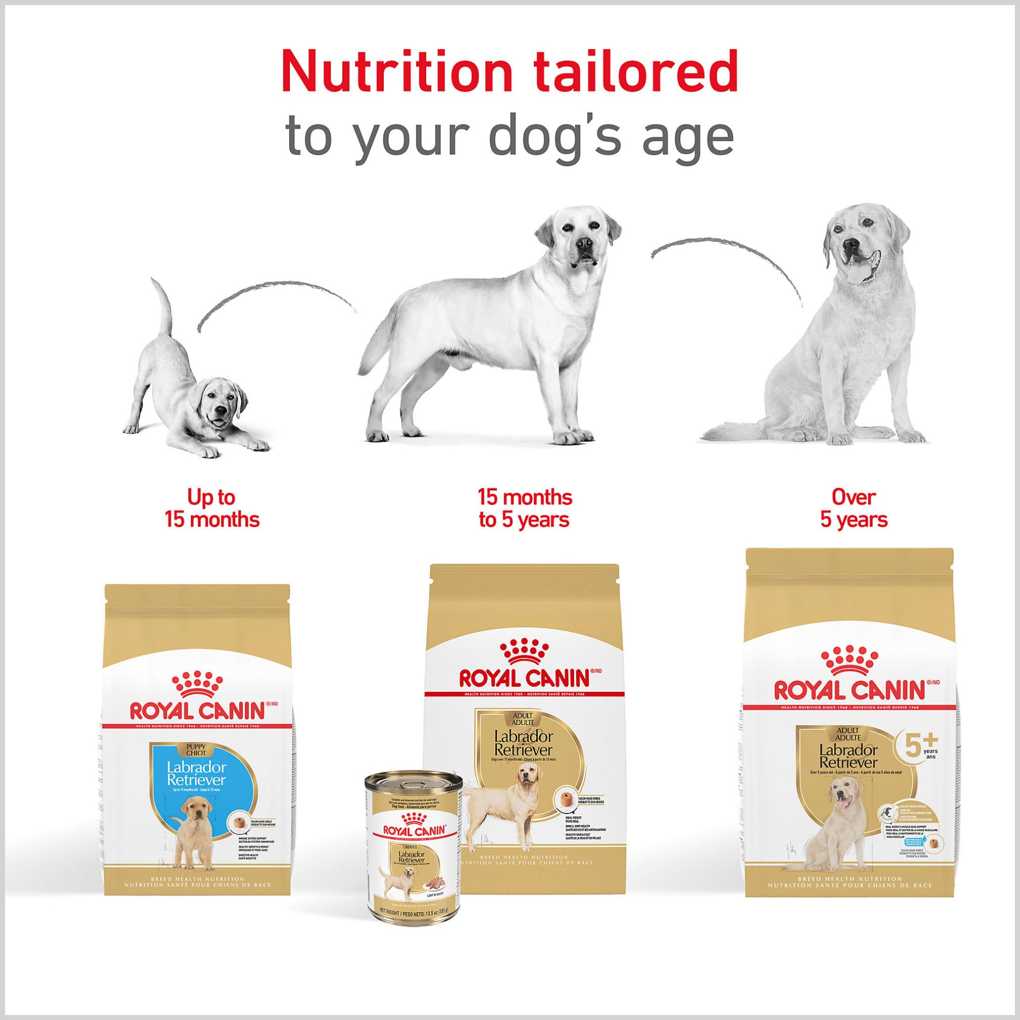 Royal Canin Labrador Puppy: croqueta en forma de dona con textura crujiente.