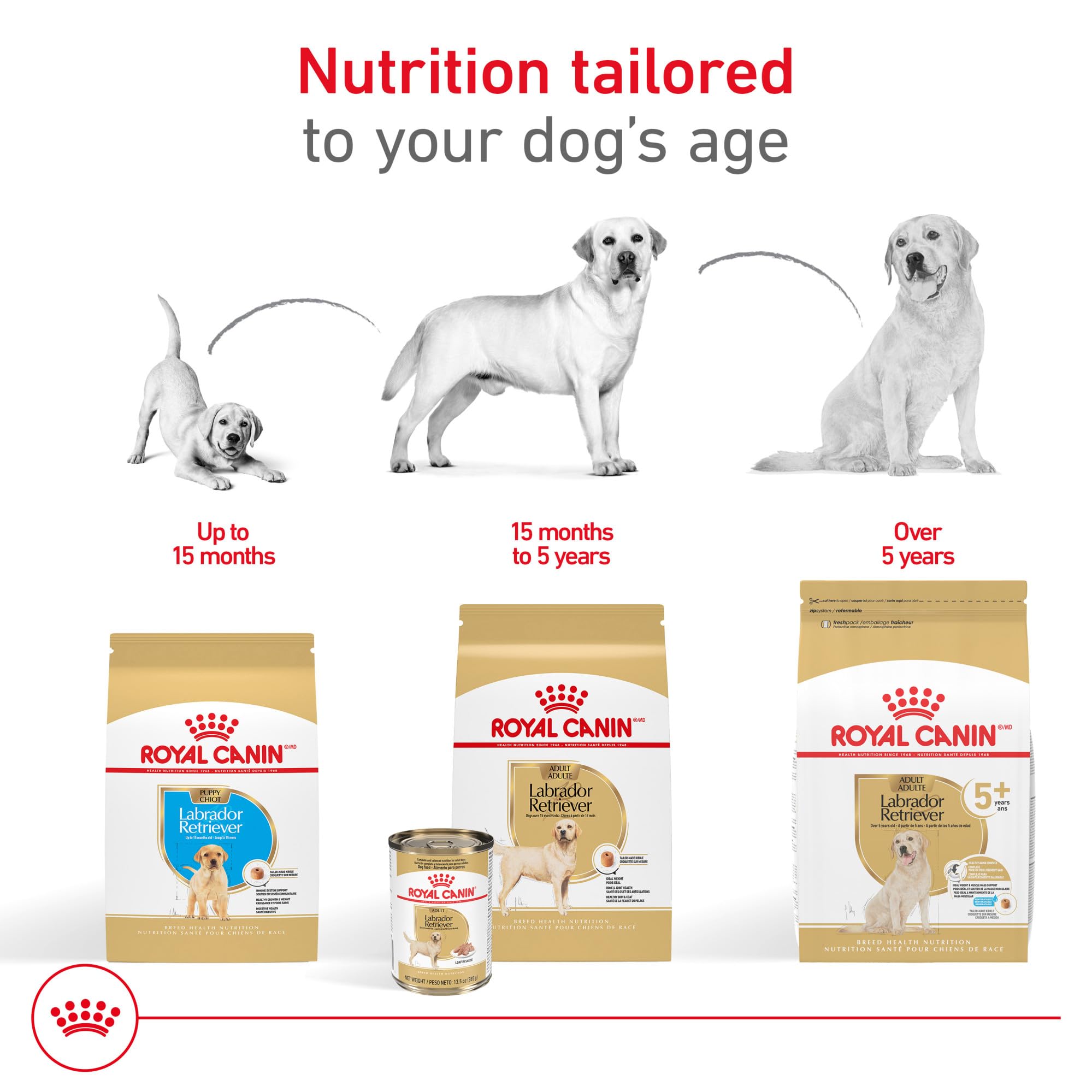 Etiqueta de Royal Canin Labrador Retriever con información nutricional clara