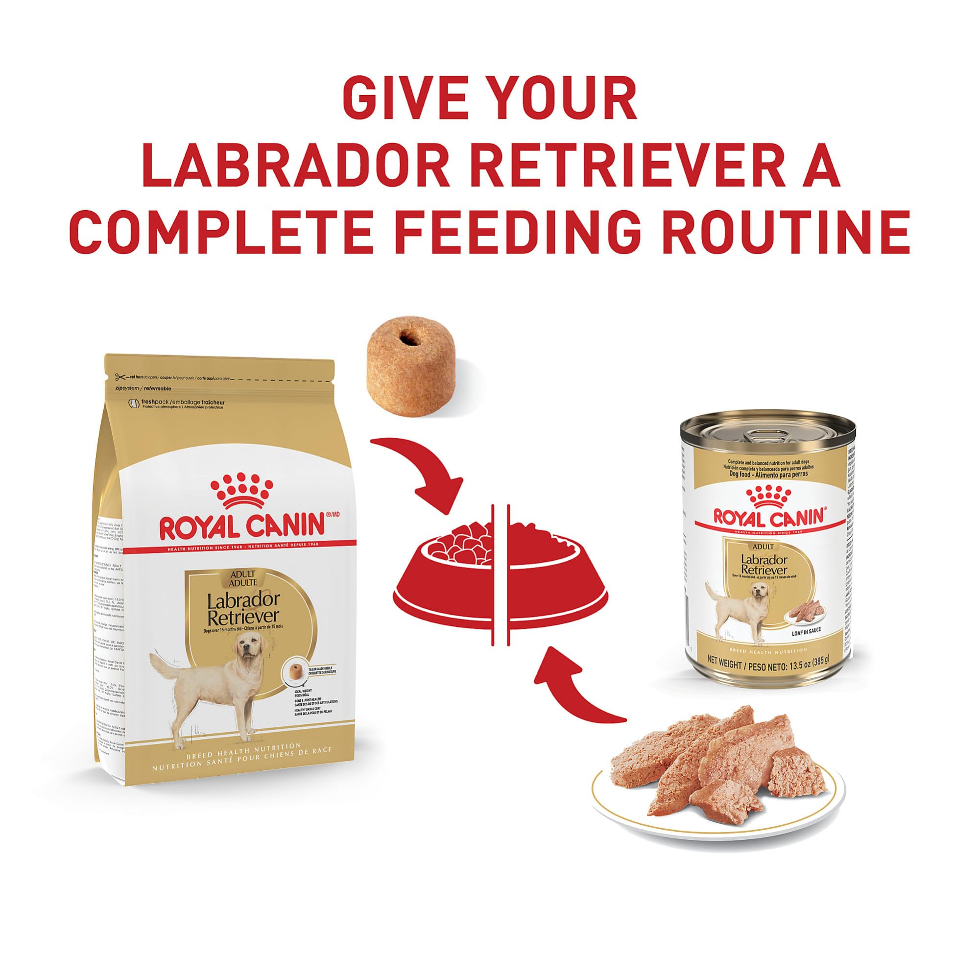 Royal Canin Labrador Retriever tazón con pate en salsa, textura atractiva