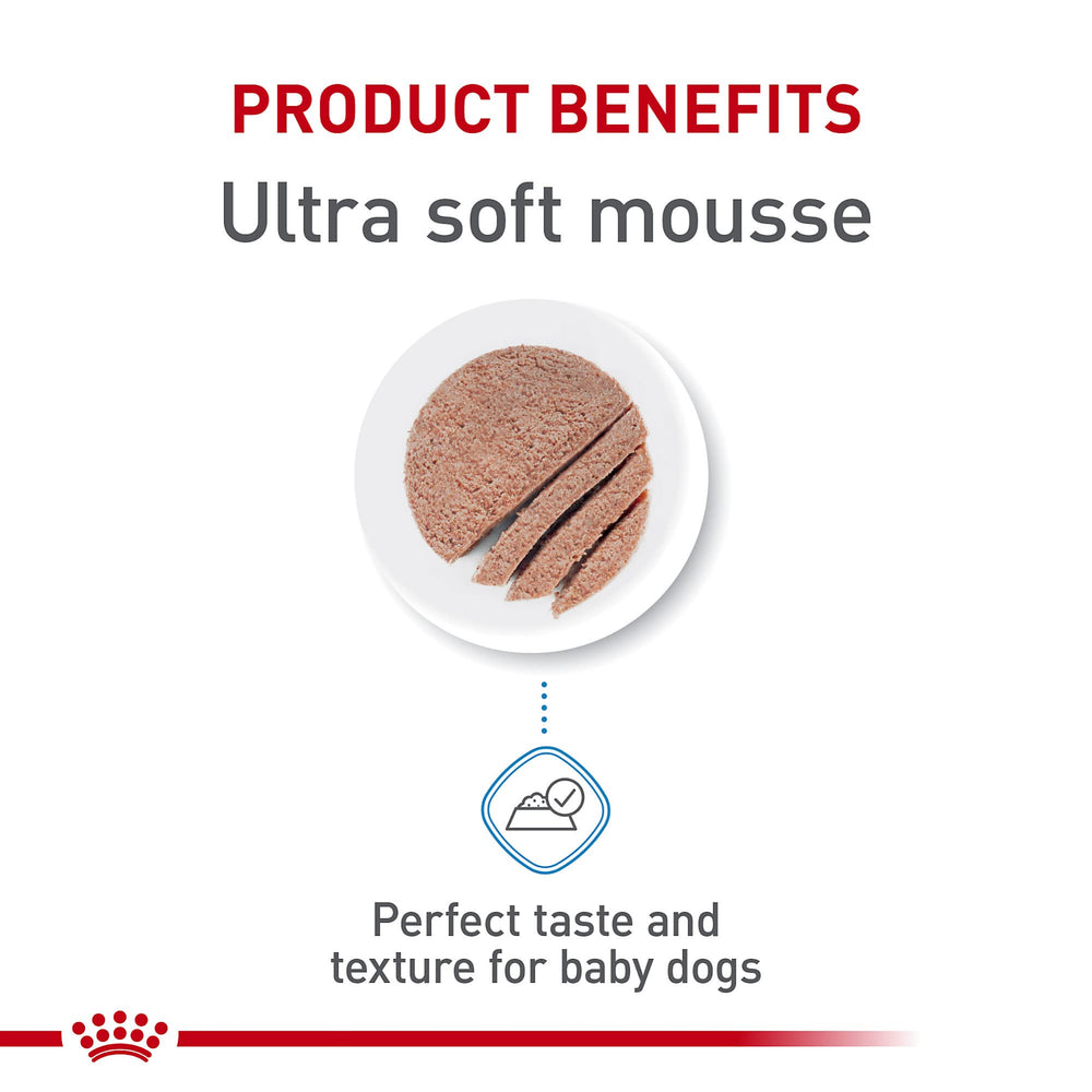 Royal Canin Mousse en Salsa: favorece equilibrio digestivo