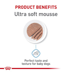 Royal Canin Mousse en Salsa: favorece equilibrio digestivo