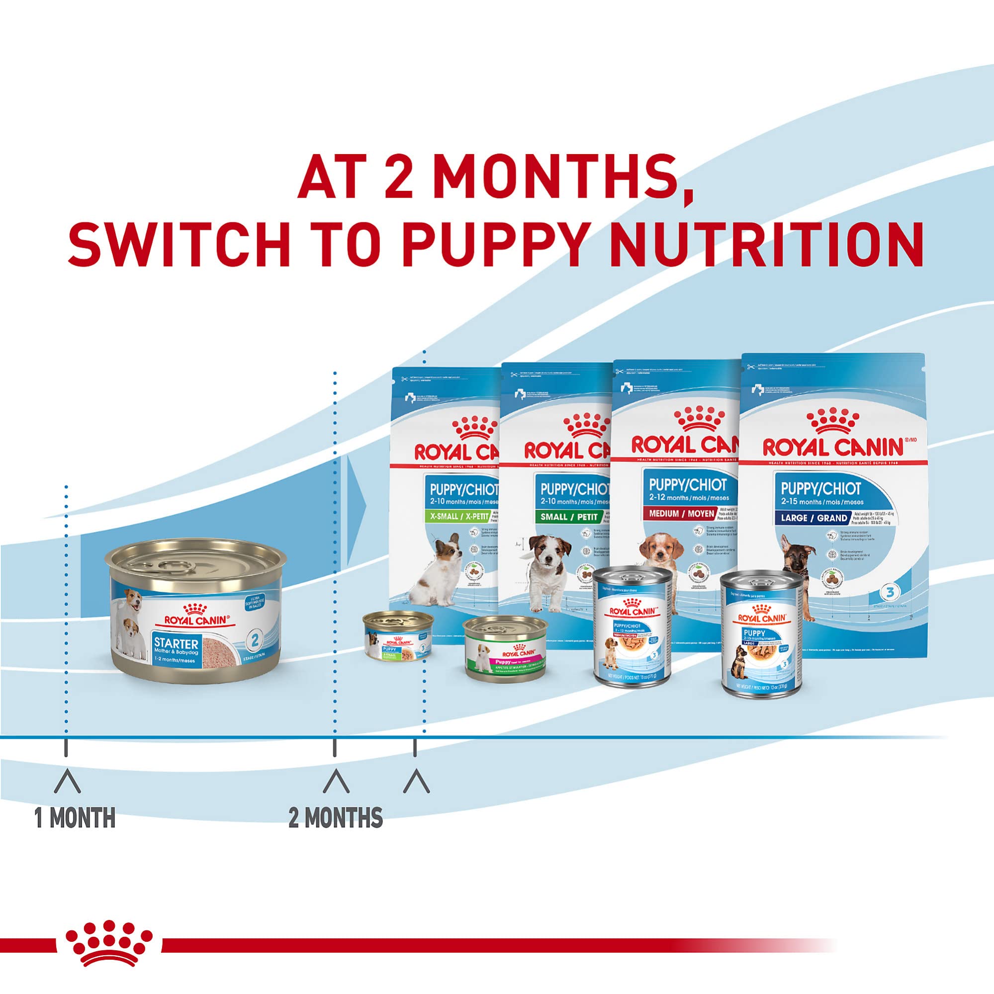 Royal Canin Mousse en Salsa: transición suave desde lactancia