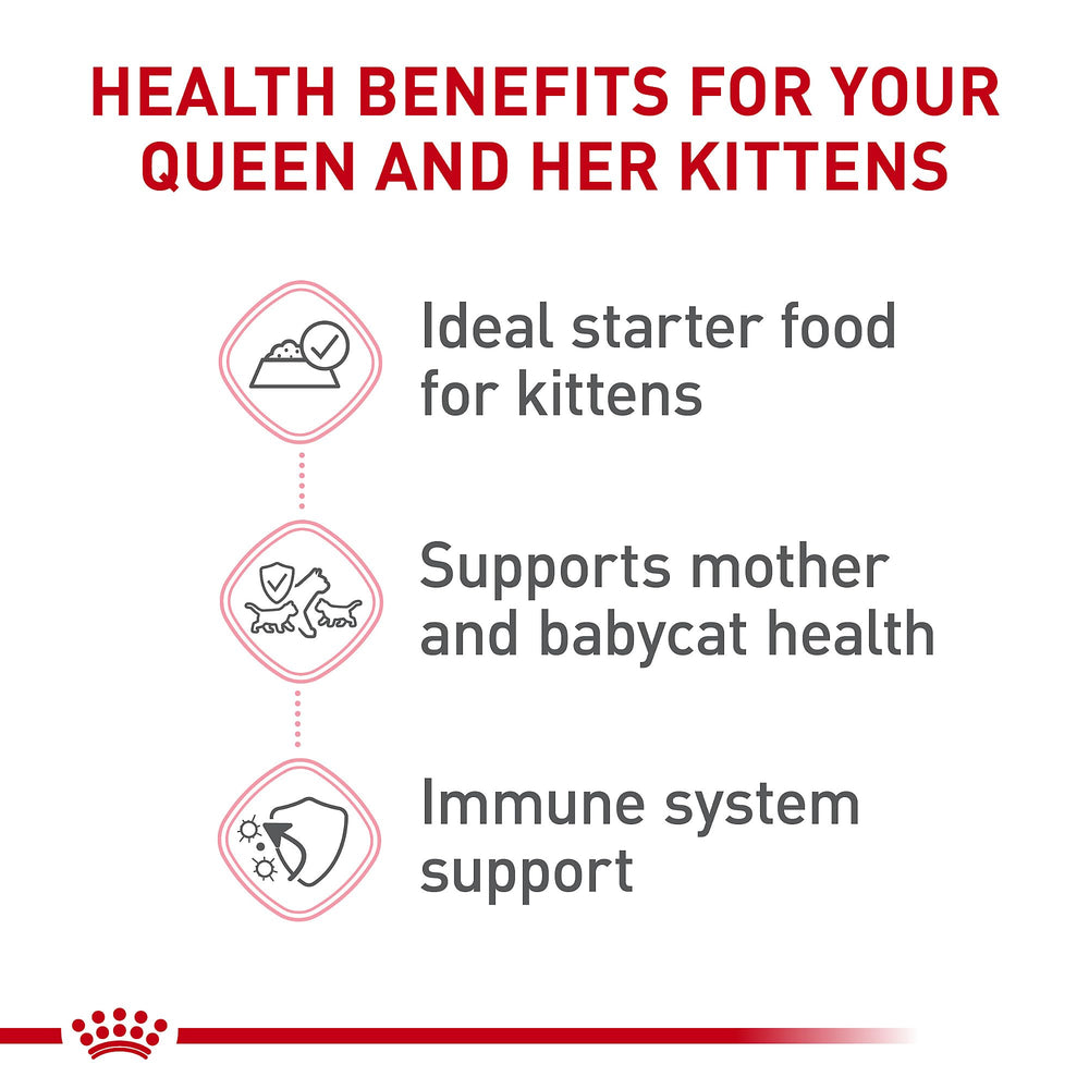 Royal Canin alimento húmedo mousse con prebióticos y proteínas digestibles