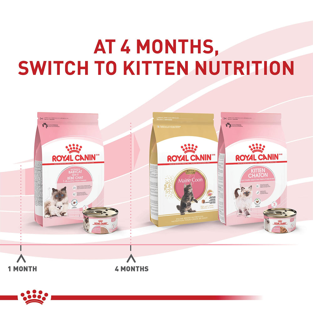 Royal Canin alimentación húmeda para gatas lactantes y gatitos en crecimiento