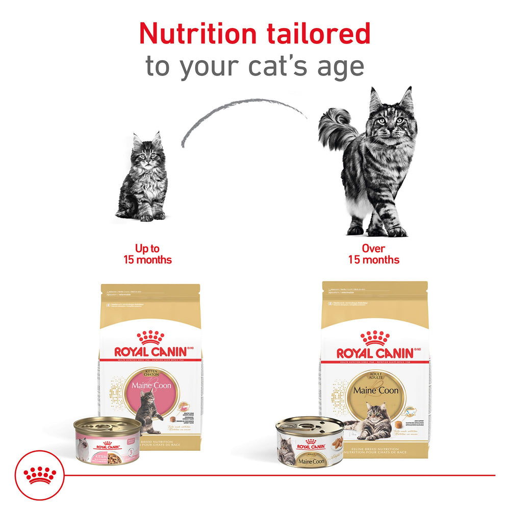 Royal Canin Maine Coon Adulta Seco: taurina EPA DHA para apoyo cardíaco.
