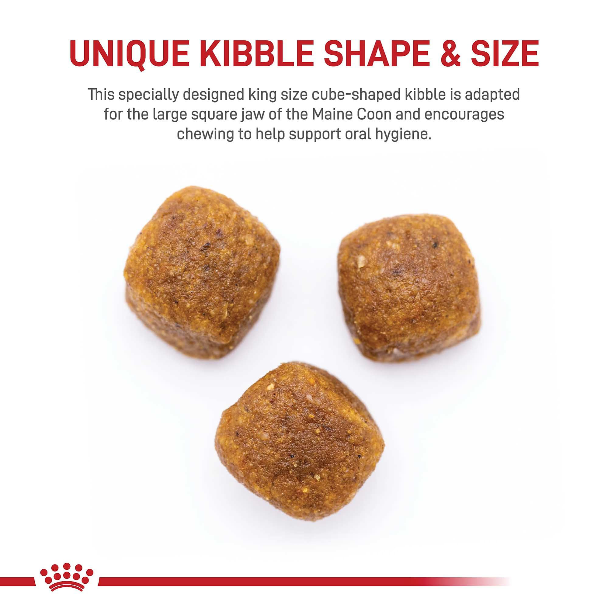 Royal Canin Maine Coon Adulta Seco: croquetas cuadradas para masticación adecuada.