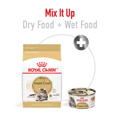 Piel y pelaje brillantes gracias a la fórmula de Royal Canin Maine Coon