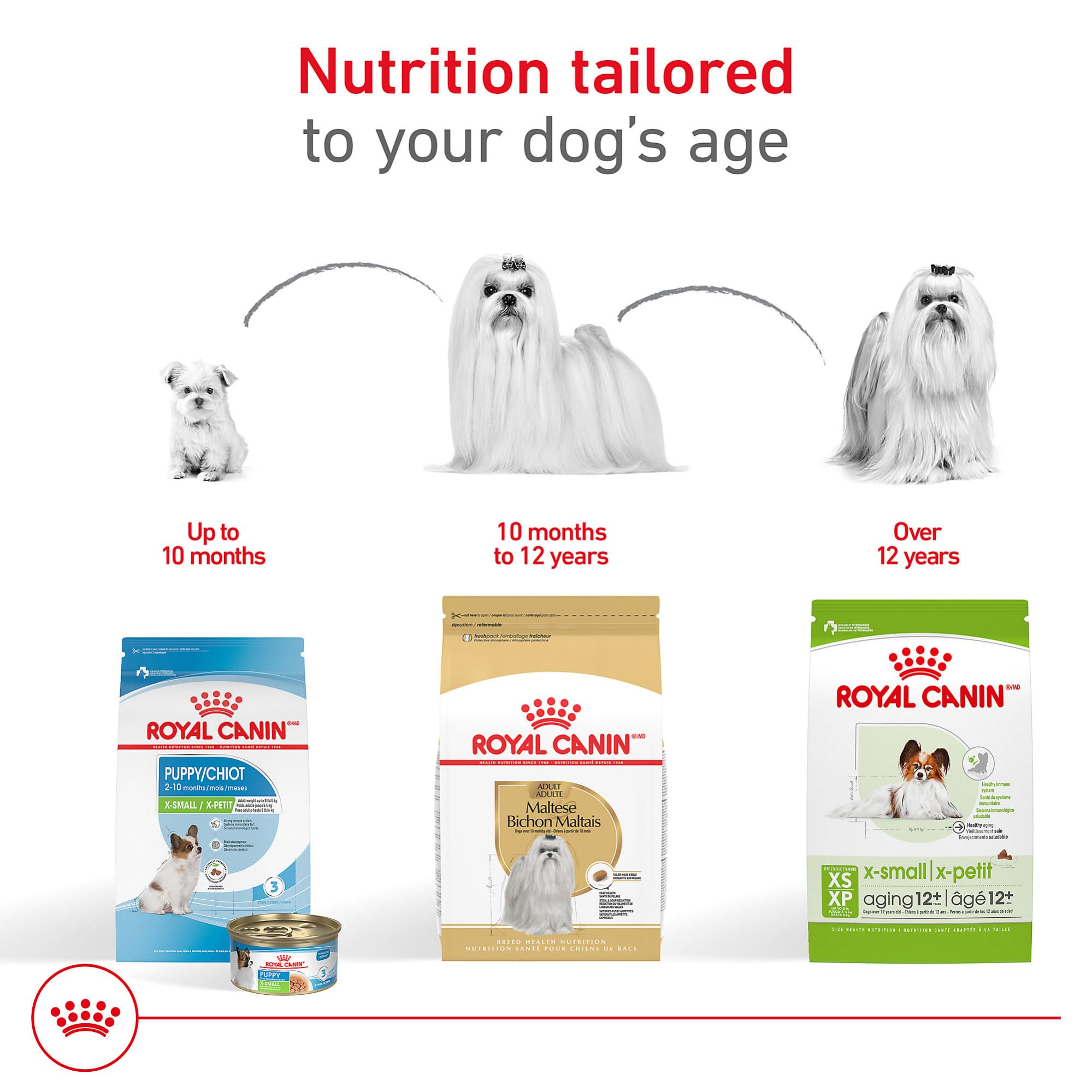 ROYAL CANIN Maltés adulto: aromas y sabores atractivos para comedores exigentes