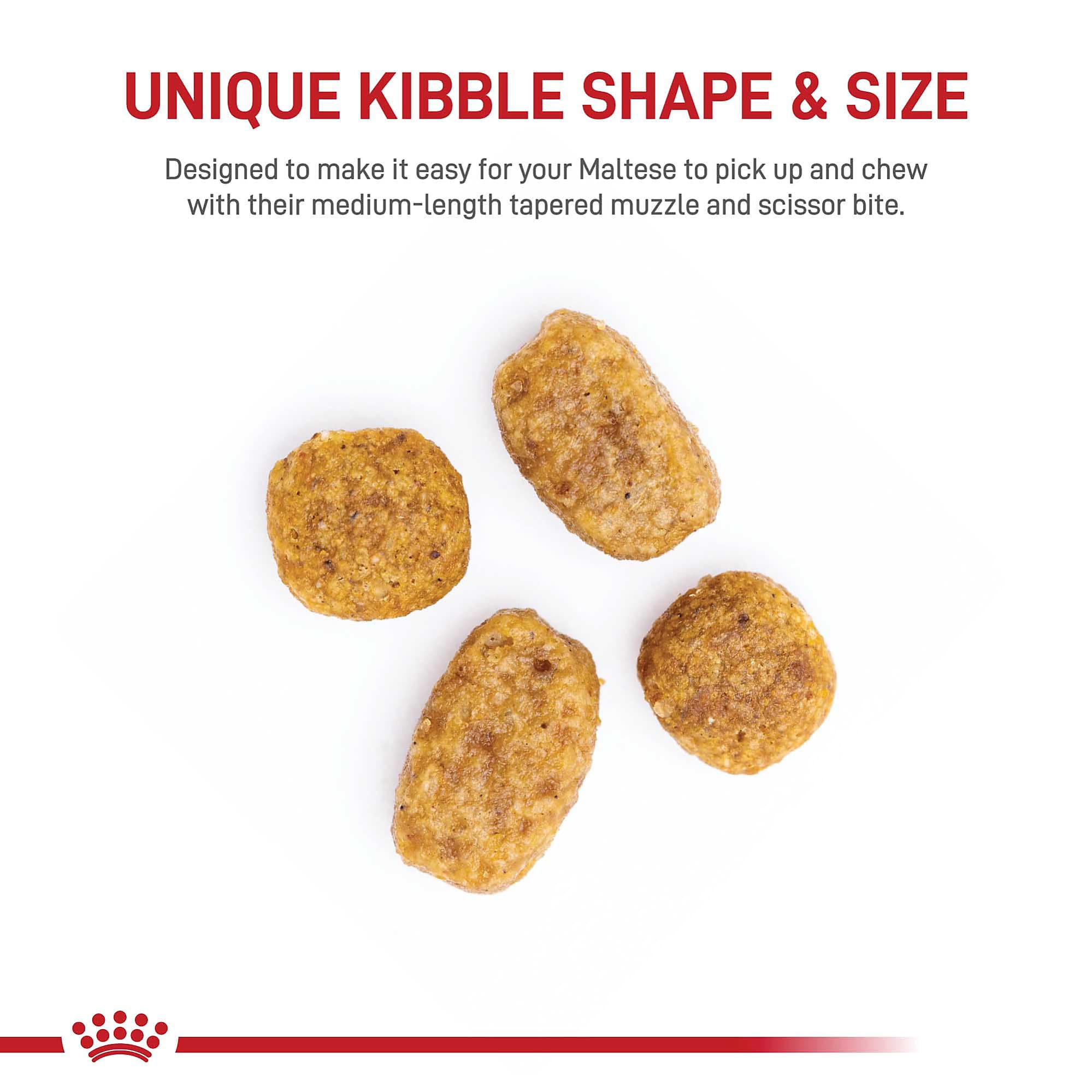ROYAL CANIN Maltés adulto: croqueta de tamaño medio facilita recoger y masticar