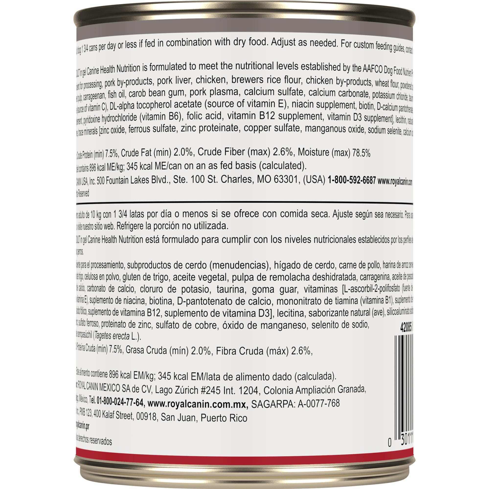 Perro mayor disfrutando Royal Canin Mature, experiencia de comida agradable.
