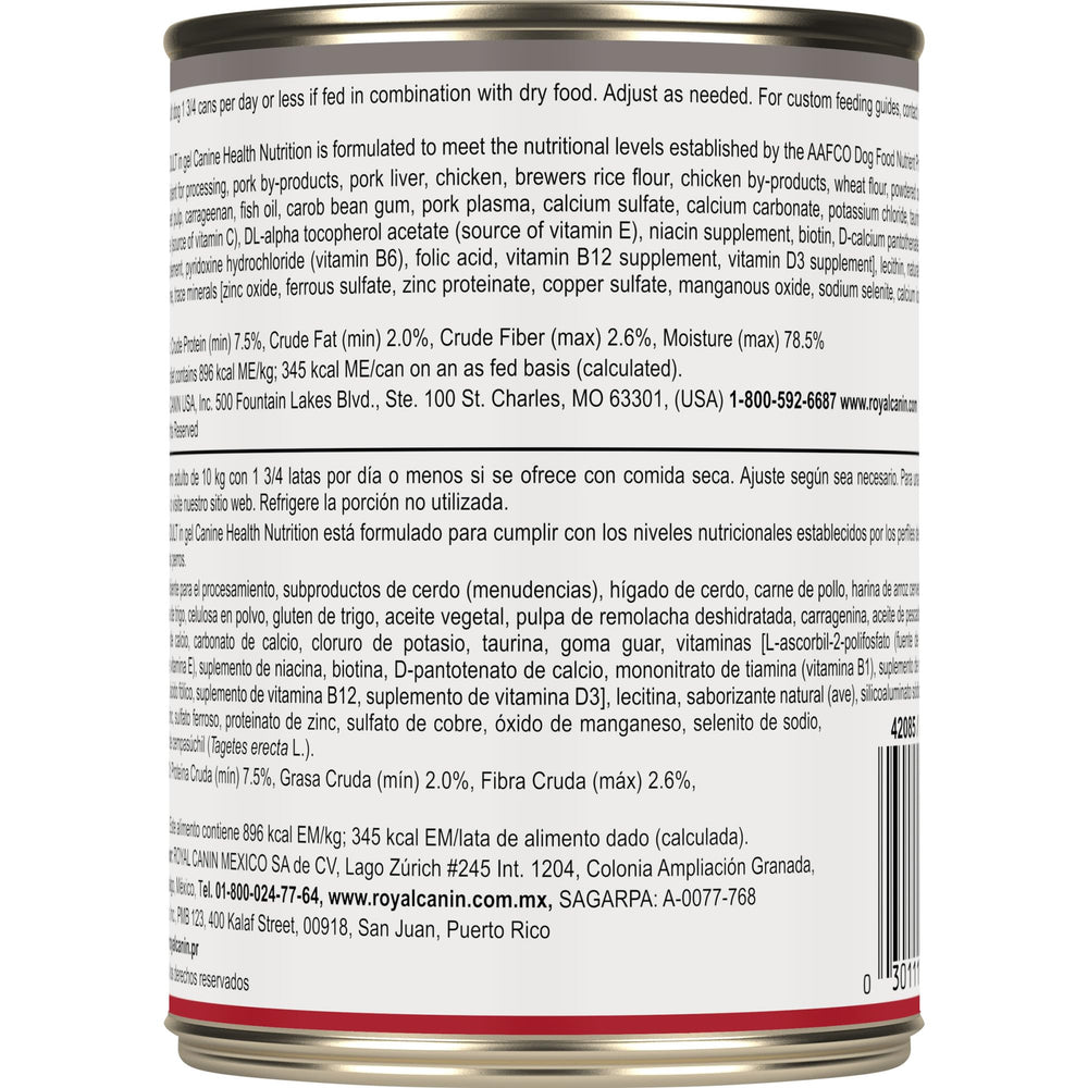 Perro mayor disfrutando Royal Canin Mature, experiencia de comida agradable.