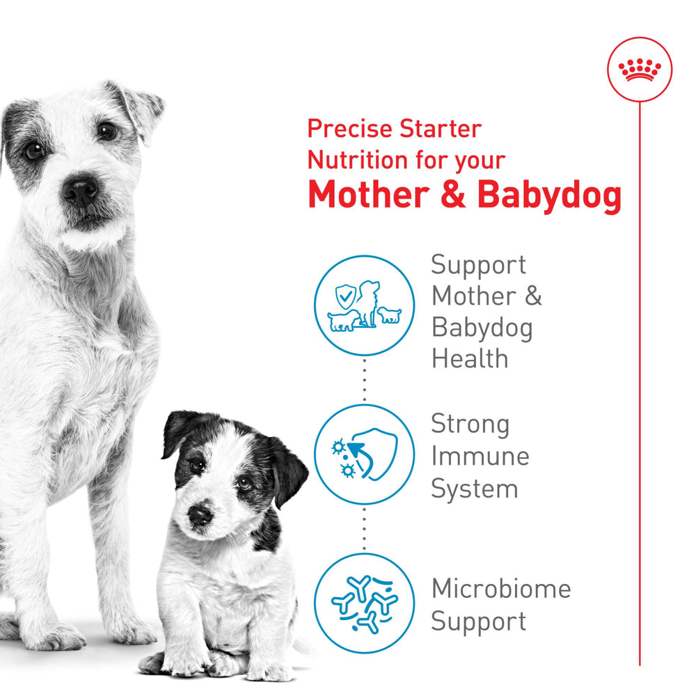 ROYAL CANIN Microbioma: prebióticos y proteínas digestibles para equilibrio intestinal.