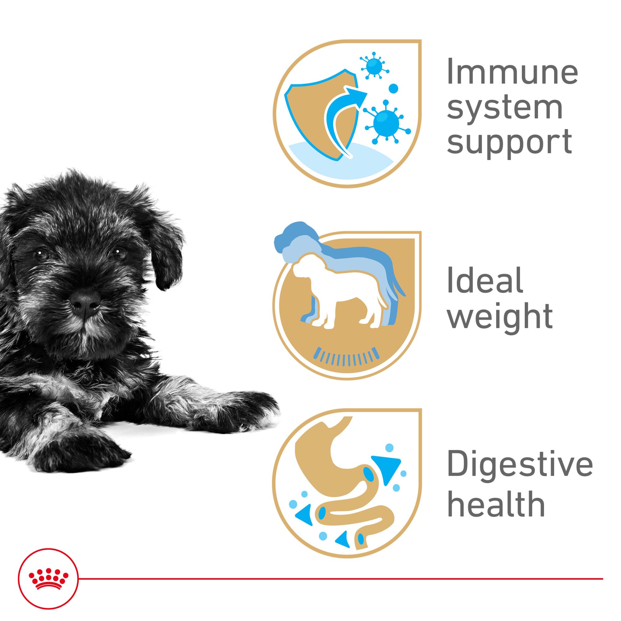 Royal Canin Schnauzer Miniatura Puppy, antioxidantes y vitamina E para desarrollo inmunológico.