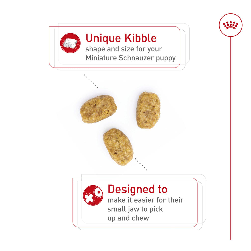 Royal Canin Schnauzer Miniatura Puppy, croquetas con forma especial para mordida pequeña.