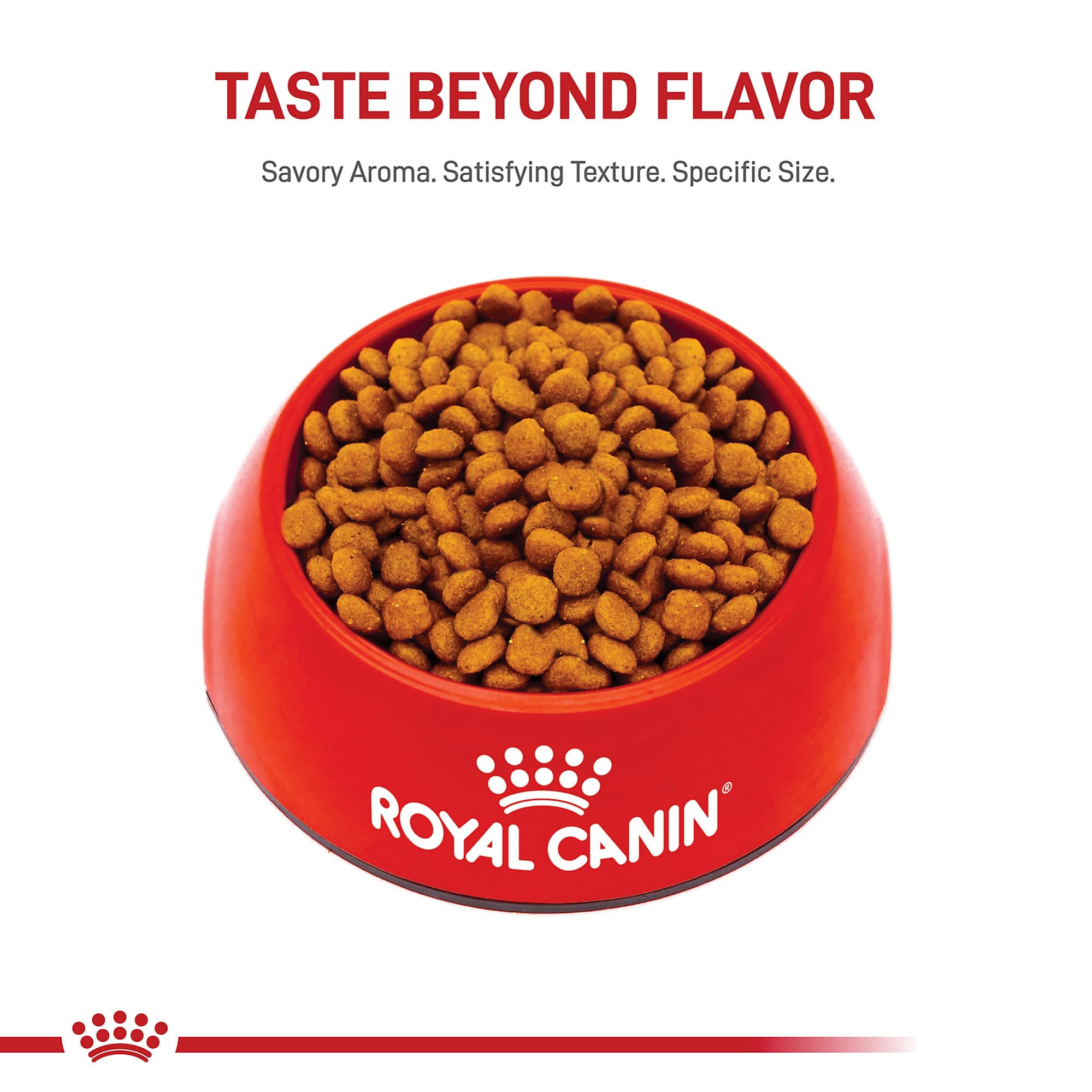 Royal Canin Schnauzer Miniatura Puppy, croquetas de tamaño adecuado para mordida pequeña.