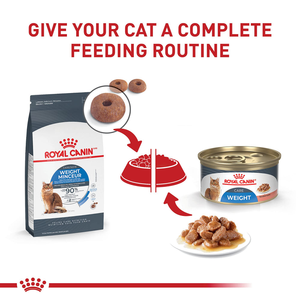 Royal Canin nutricion equilibrada para gatos adultos con tendencia a subir de peso