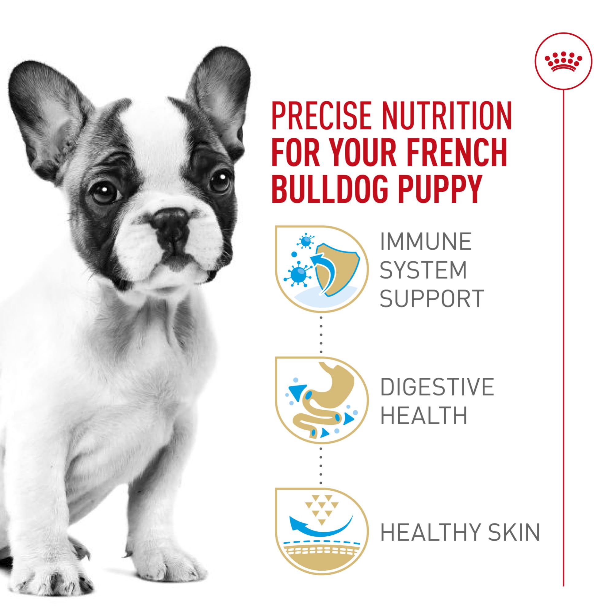 ROYAL CANIN Bulldog Francés Cachorro – salud digestiva y flora intestinal
