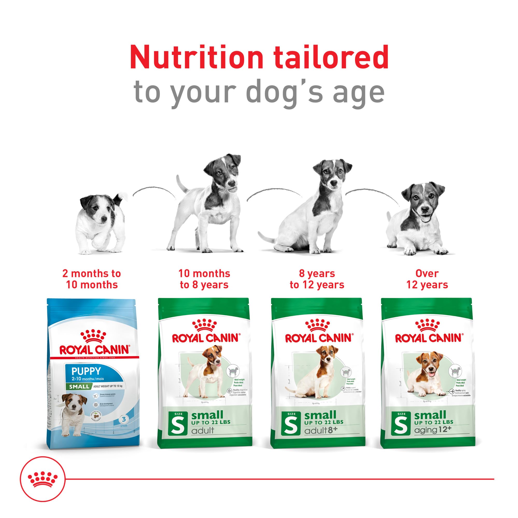 Royal Canin aporta Omega-3 EPA y DHA para piel y pelaje saludables.