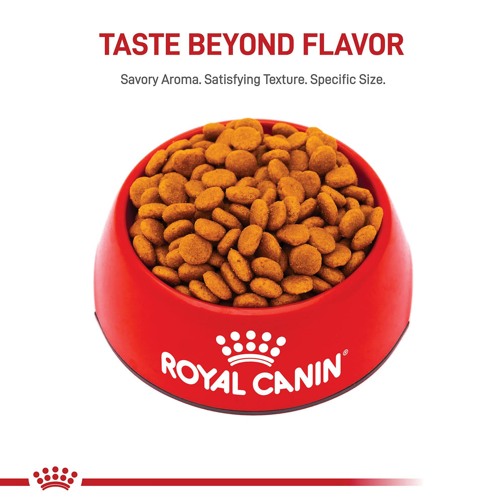 Royal Canin porción lista para combinar con comida húmeda.