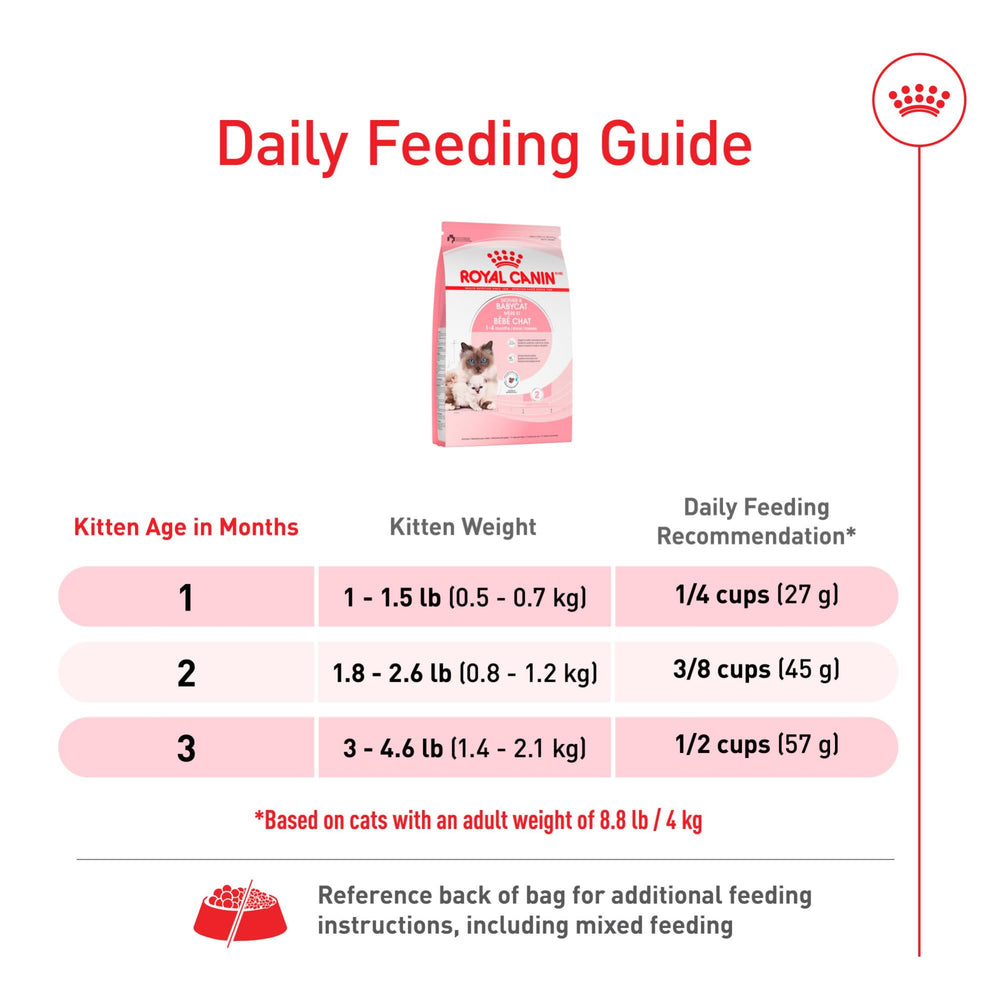 Royal Canin para gatos jóvenes, nutrición enfocada al crecimiento saludable.