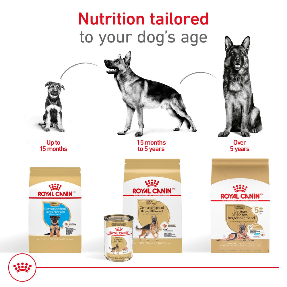 ROYAL CANIN Pastor Alemán Adulta soporte articular y huesos fuertes.