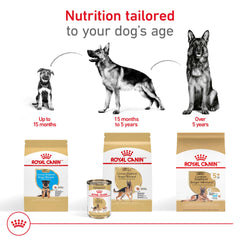 ROYAL CANIN Pastor Alemán Adulta soporte articular y huesos fuertes.