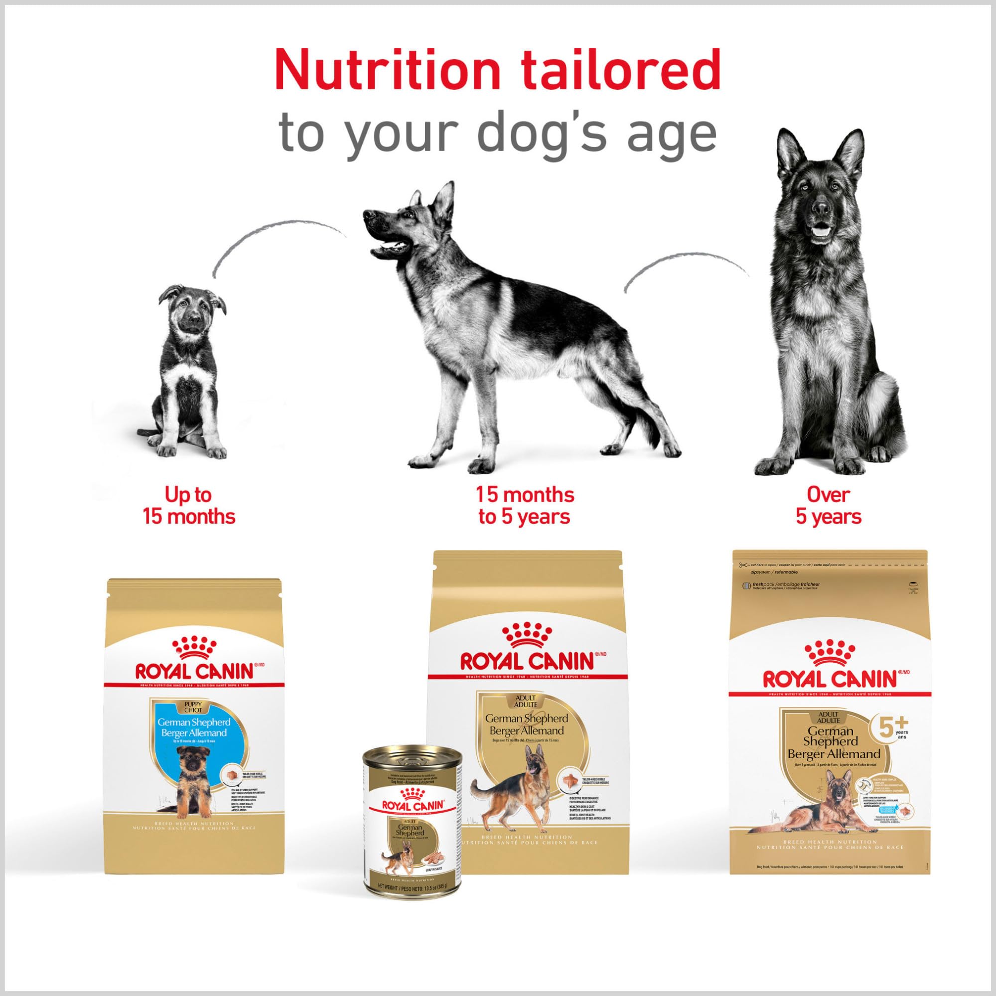 Royal Canin Pastor Alemán cachorro apoyo al crecimiento saludable