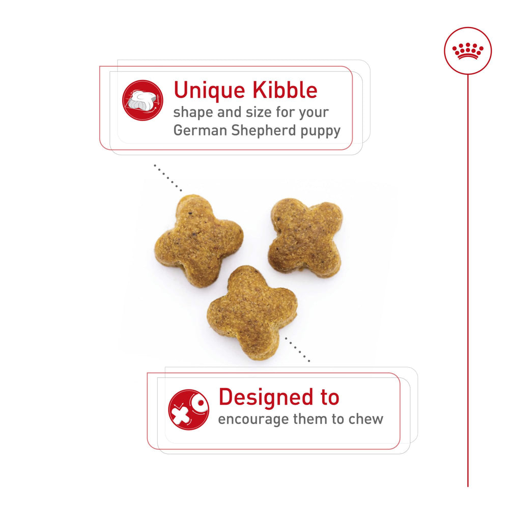 Royal Canin Pastor Alemán cachorro fibra y proteínas para digestión saludable