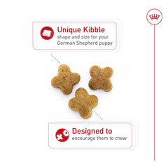Royal Canin Pastor Alemán cachorro fibra y proteínas para digestión saludable