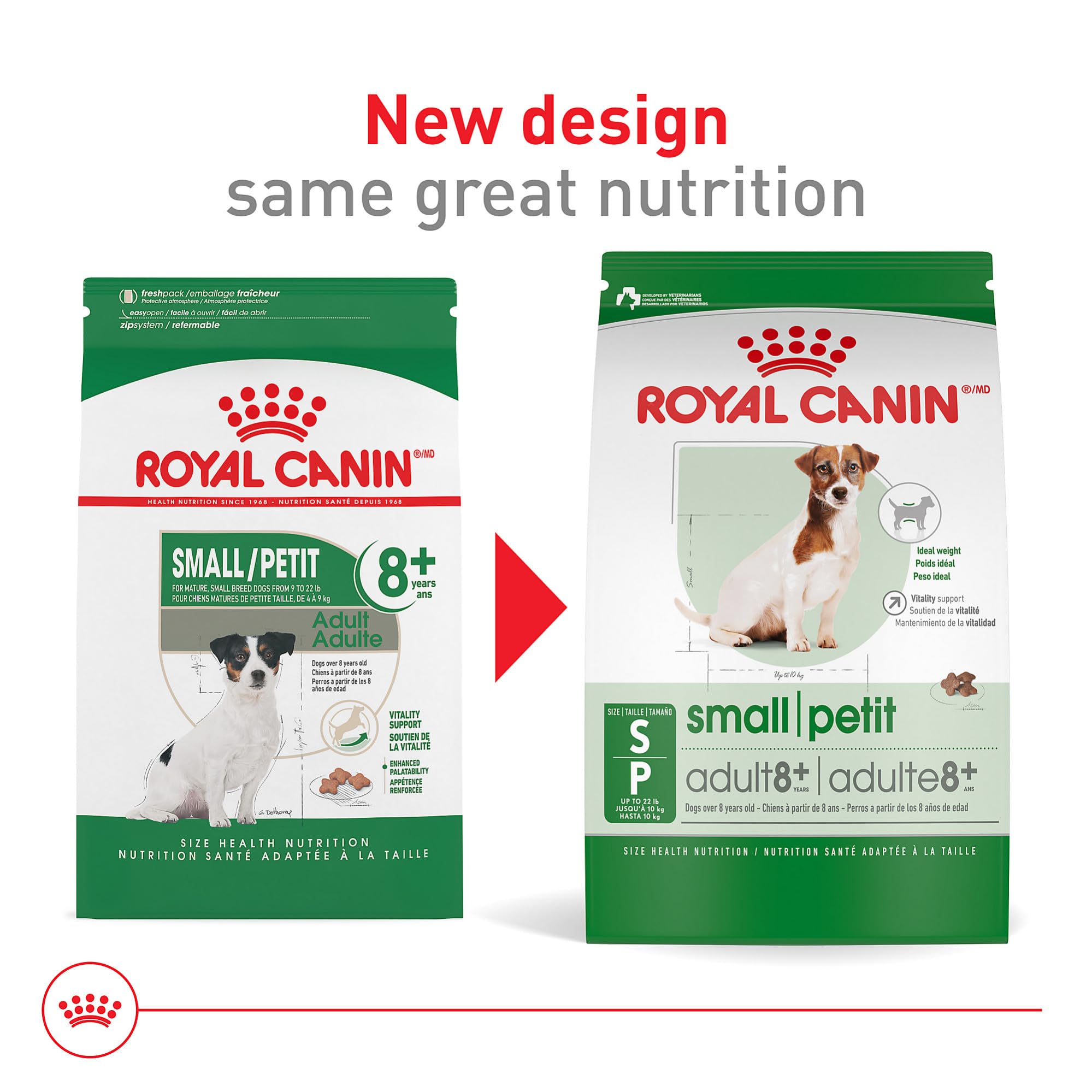 Croquetas crujientes de Royal Canin para perros pequeños 8+ Senior, mayor palatabilidad.
