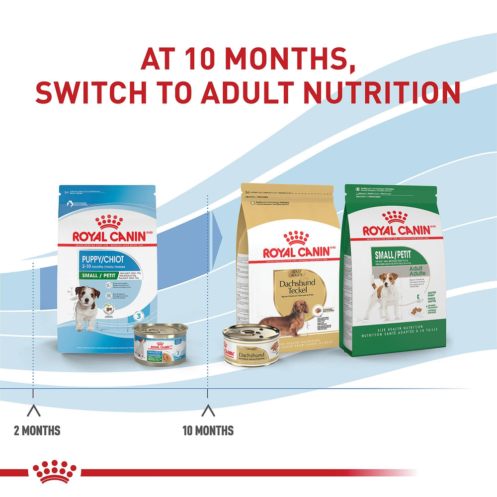 ROYAL CANIN Size Small Puppy dha desarrollo cerebral en cachorros