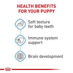 ROYAL CANIN Size Small Puppy apoyo a inmunidad con antioxidantes y vitaminas
