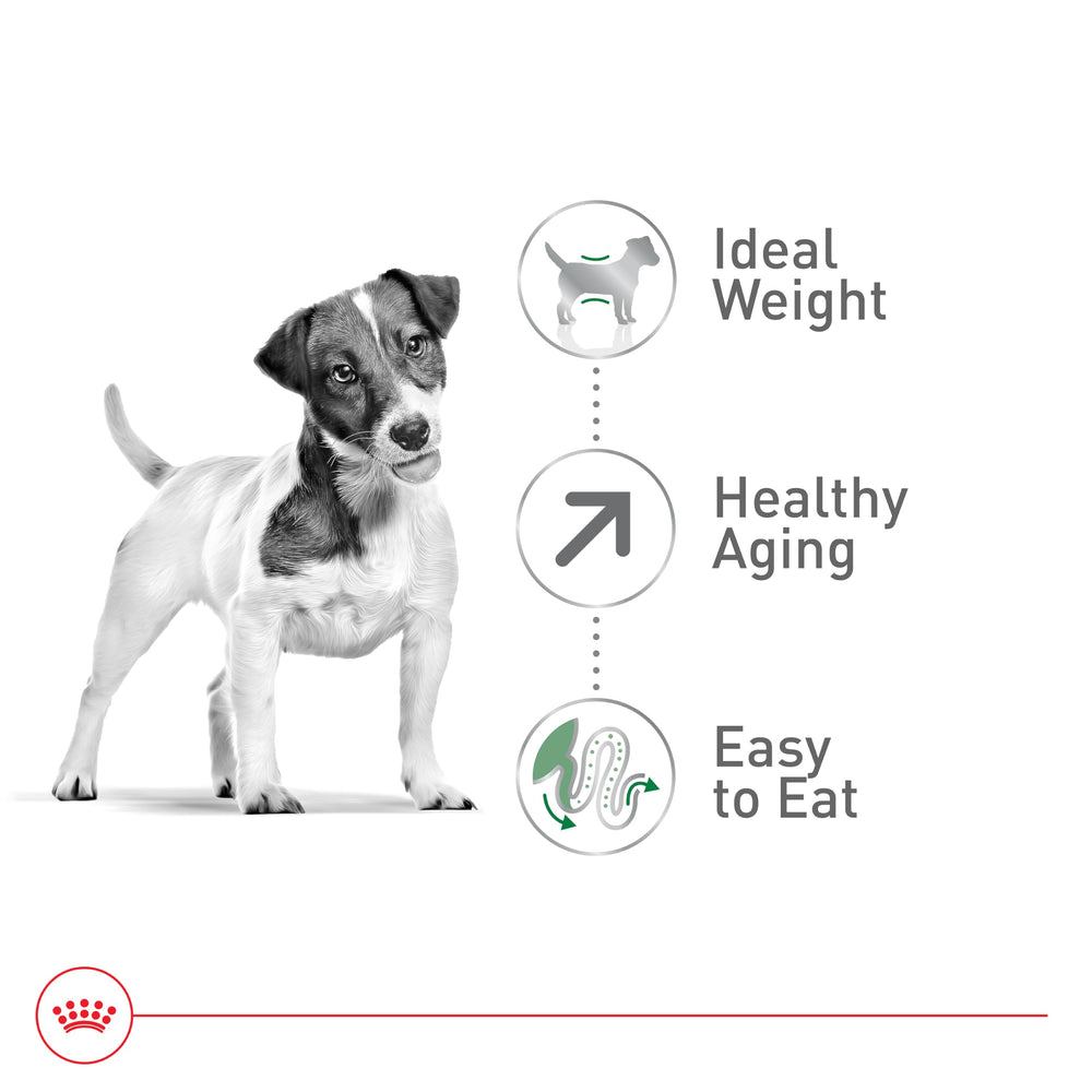 ROYAL CANIN Size Health Nutrition Small Aging 12+ nutrición con energía adaptada para perros seniors.