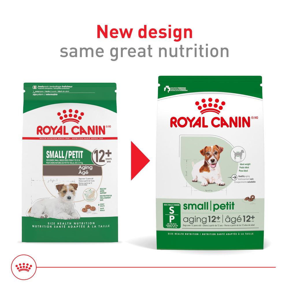 ROYAL CANIN Size Health Nutrition Small Aging 12+ perro senior comiendo croquetas suaves.