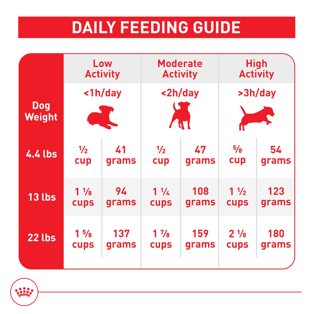 ROYAL CANIN Size Health Nutrition Small Aging 12+ soporte renal y cardíaco en la edad.