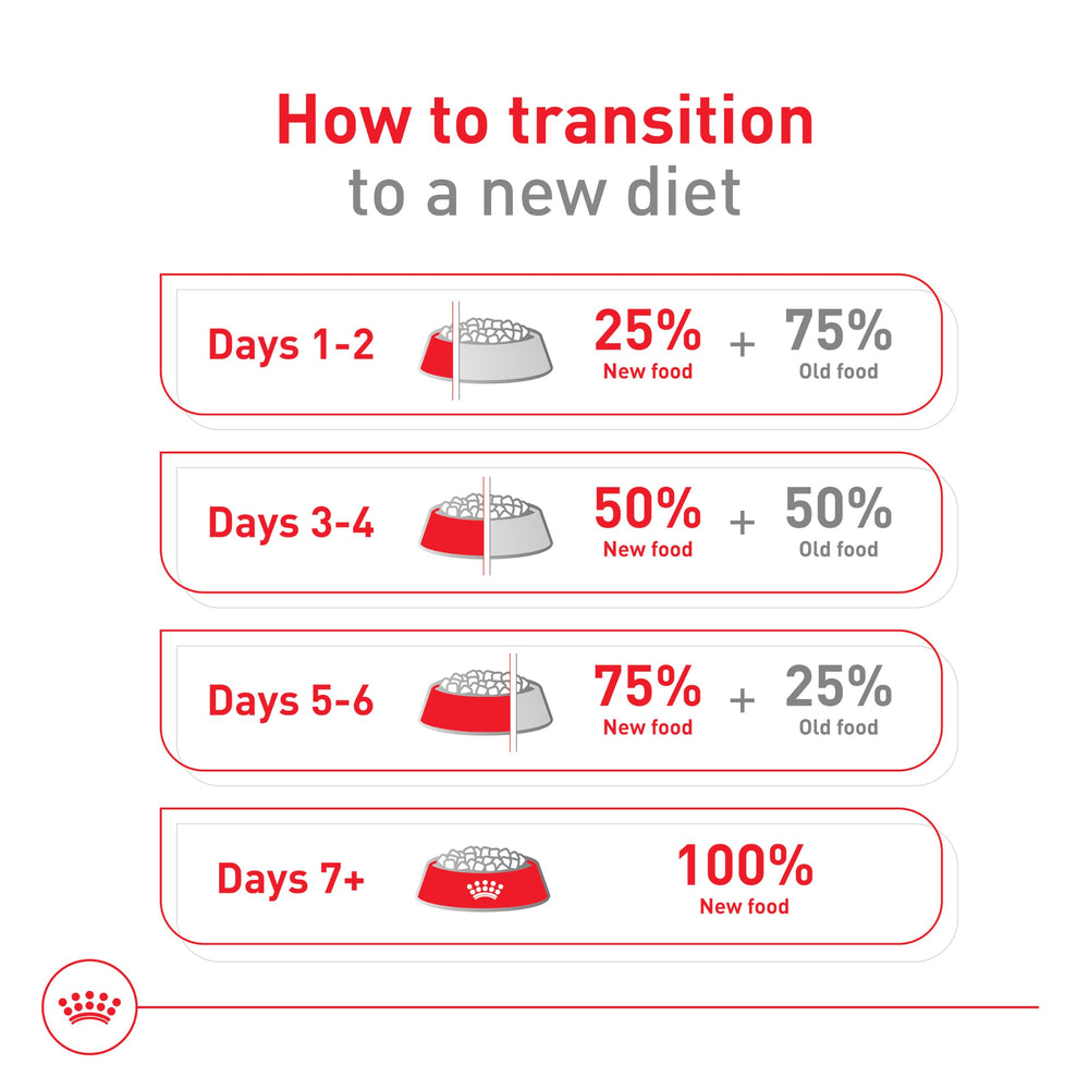 ROYAL CANIN Size Health Nutrition Small Aging 12+ textura crujiente para combinar con comida húmeda.