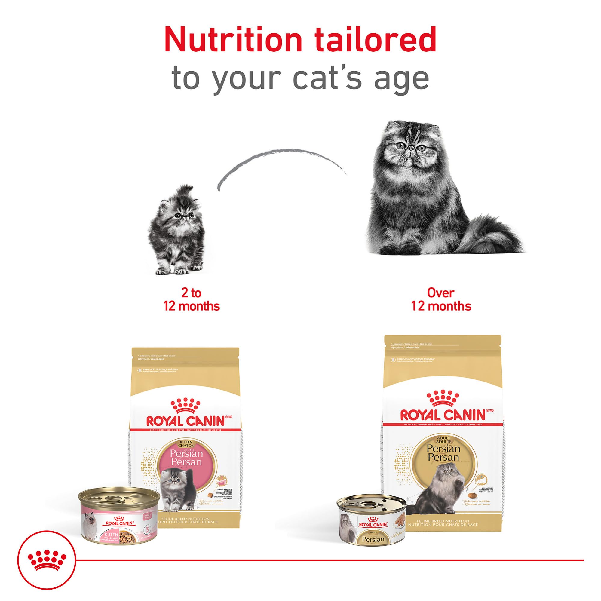 Soporte digestivo de Royal Canin para gatitos persas en crecimiento.