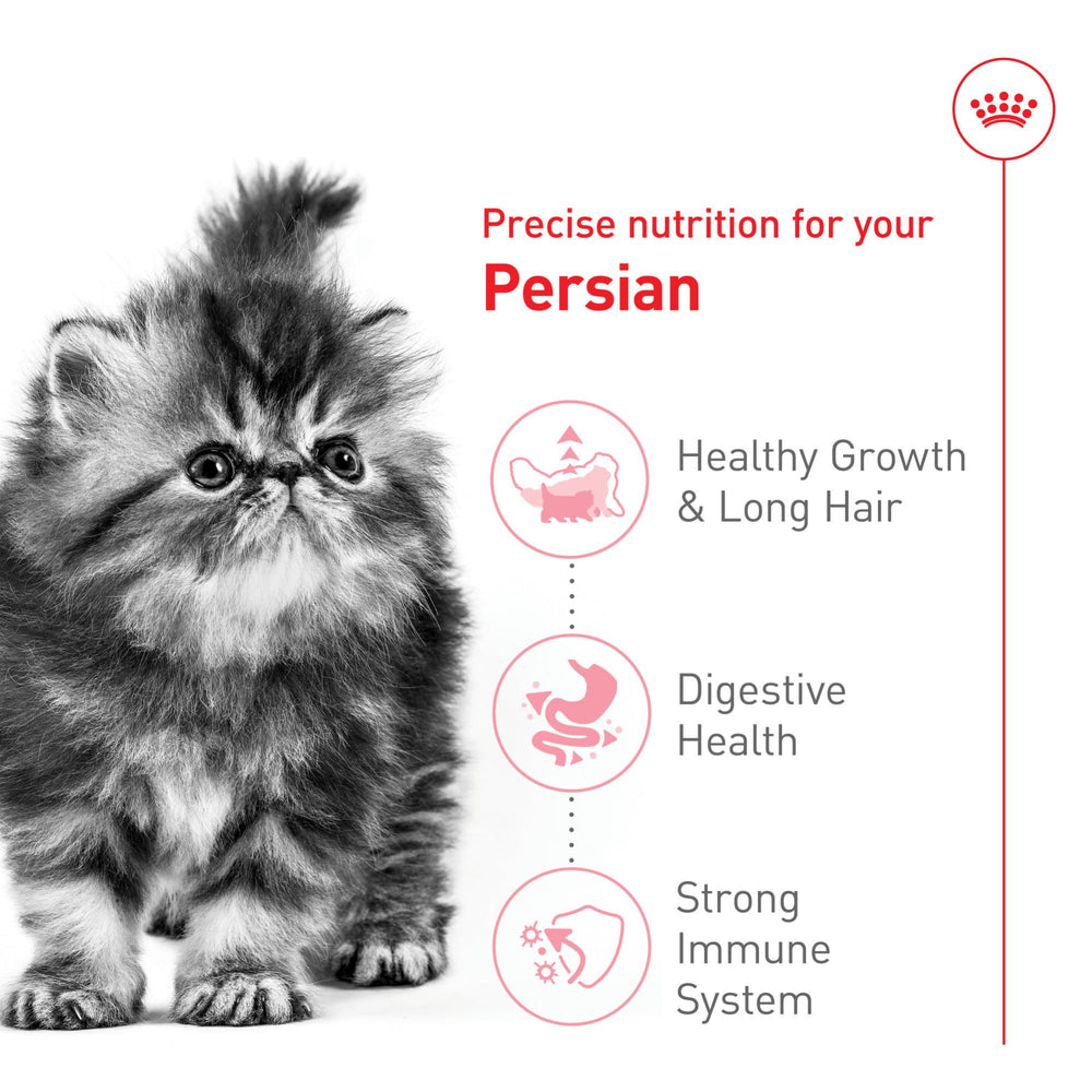Piel y pelaje saludables gracias a la fórmula de Royal Canin para gatitos persas.