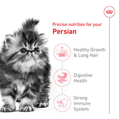 Piel y pelaje saludables gracias a la fórmula de Royal Canin para gatitos persas.