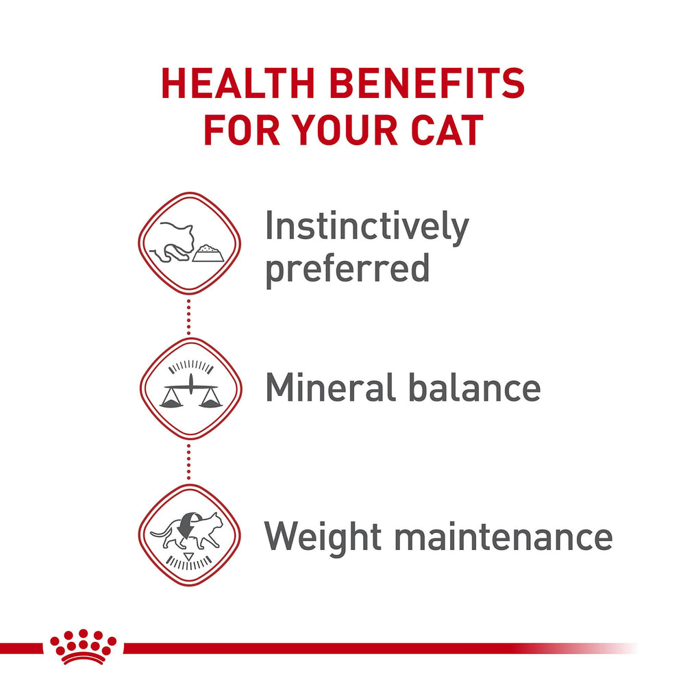 Porciones servidas en plato con Royal Canin Instinctive, combinación óptima de proteínas, grasas y carbohidratos.