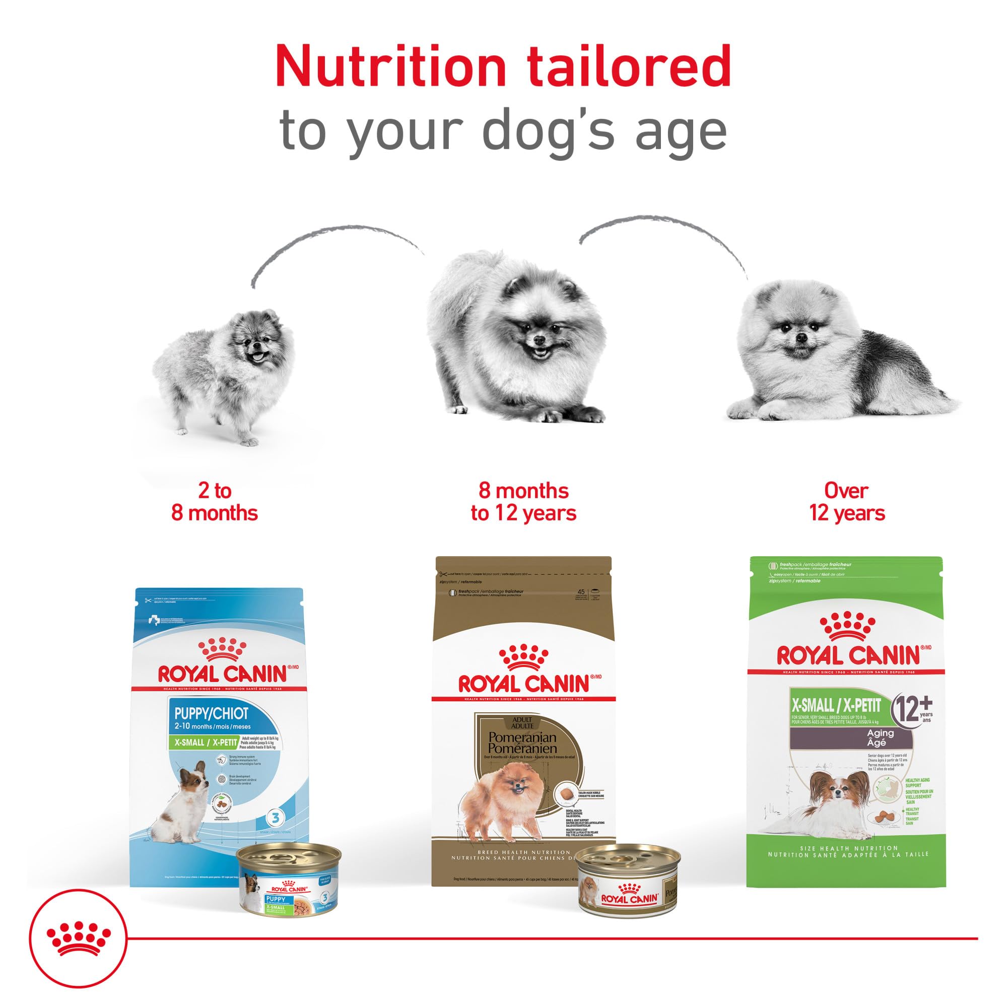 Royal Canin Pomerania Adult seco, fibra digestiva para una digestión estable.