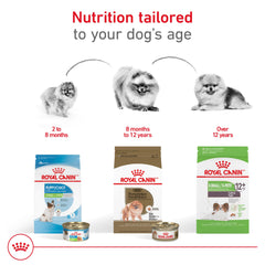 Royal Canin Pomerania Adult seco, fibra digestiva para una digestión estable.