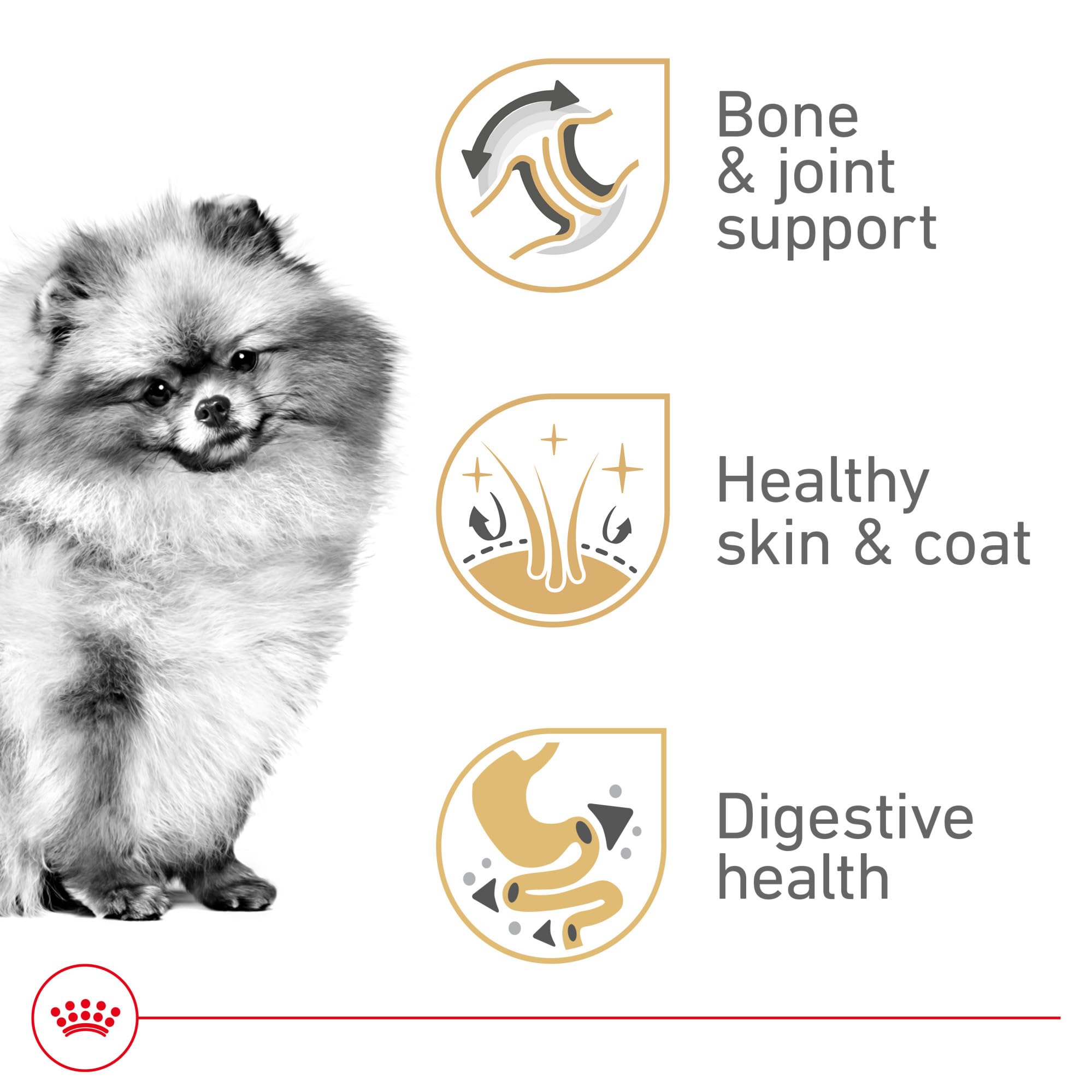 Royal Canin Pomerania Adult seco, croqueta pequeña ideal para mordidas de Pomerania.