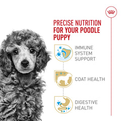 ROYAL CANIN Caniche Puppy: antioxidantes con vitamina E para desarrollo inmunológico