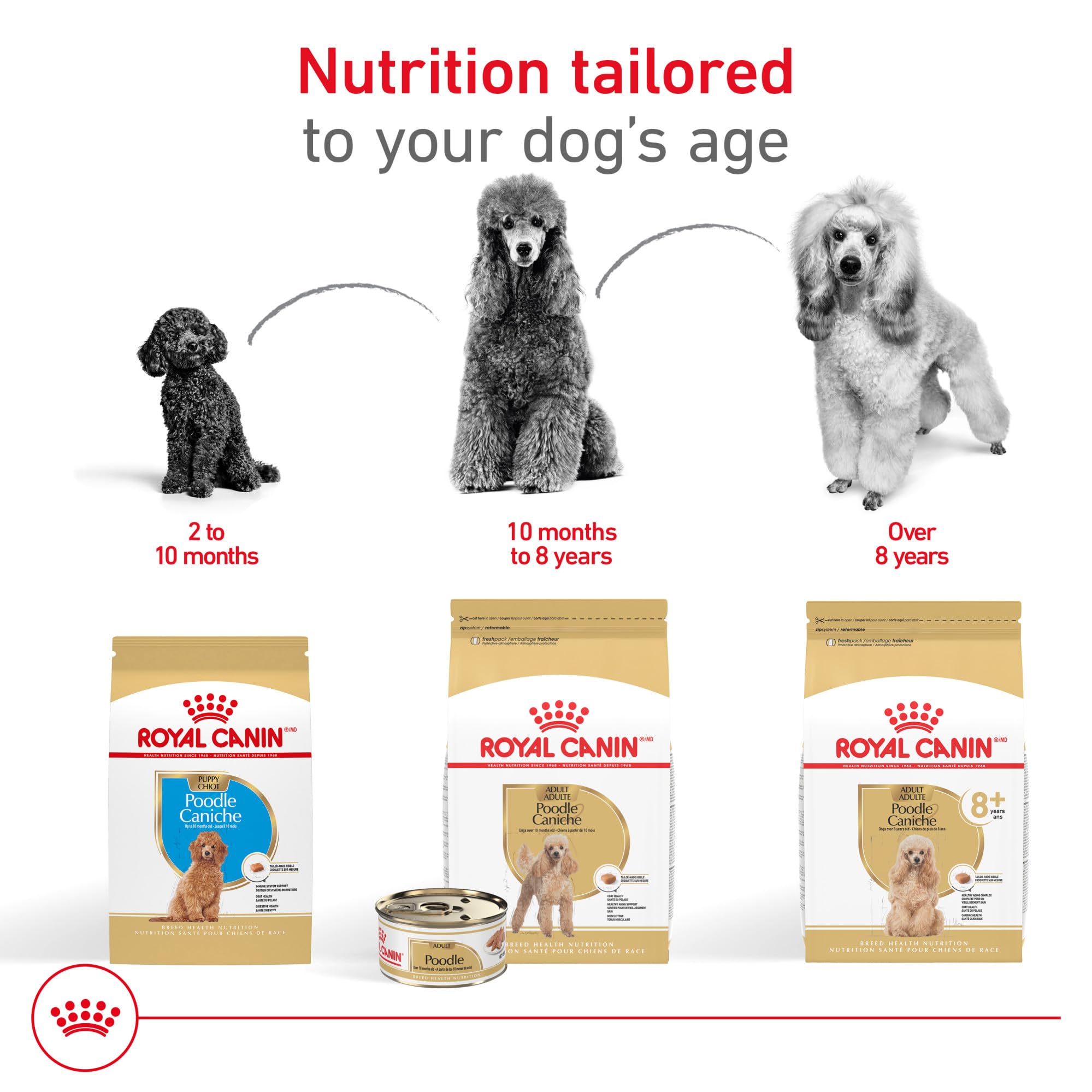 ROYAL CANIN Caniche Puppy: soporte digestivo para cachorros