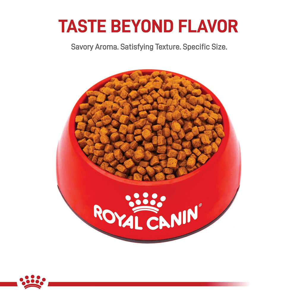 ROYAL CANIN Caniche Puppy: diseño de croqueta para hocico recto y masticación