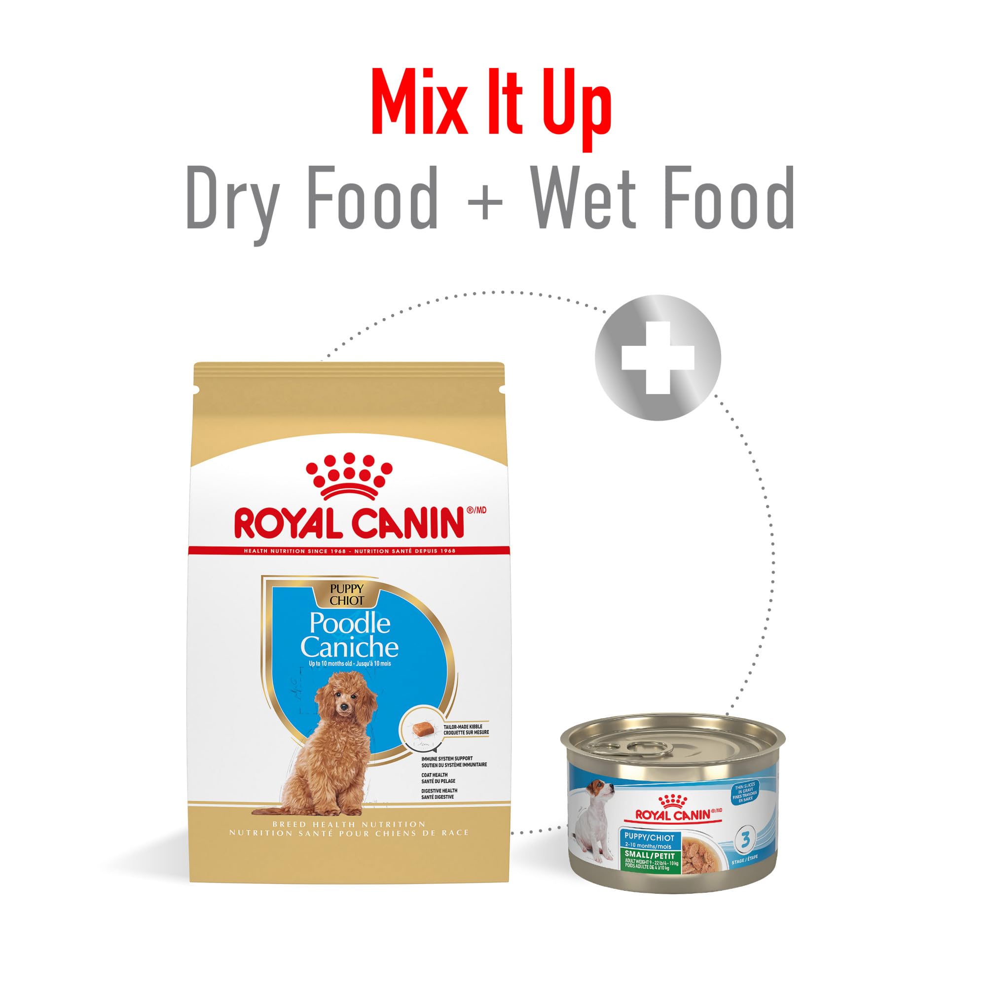 ROYAL CANIN Caniche Puppy: proteínas de alta calidad y prebióticos para digestión equilibrada