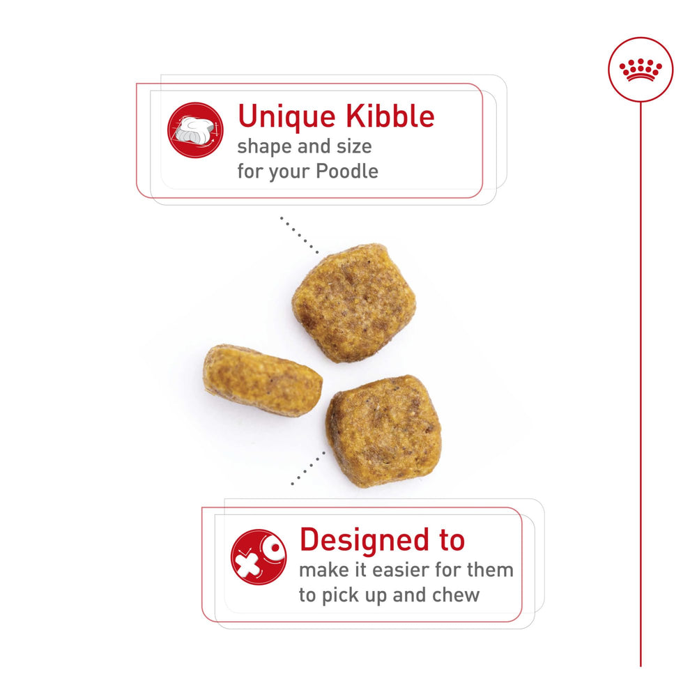 Royal Canin Poodle soporte-muscular ayuda a mantener la masa muscular